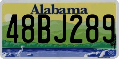 AL license plate 48BJ289