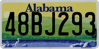 AL license plate 48BJ293