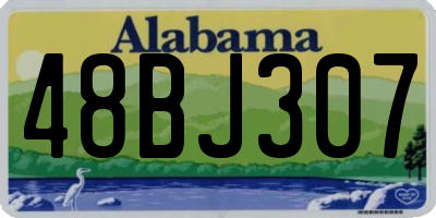 AL license plate 48BJ307