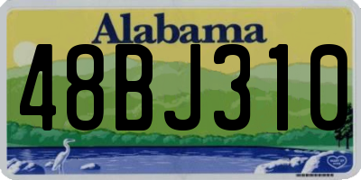 AL license plate 48BJ310