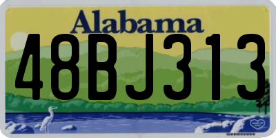 AL license plate 48BJ313