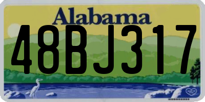 AL license plate 48BJ317