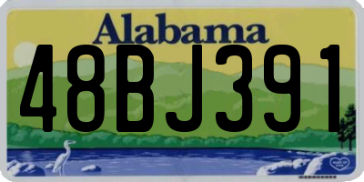 AL license plate 48BJ391