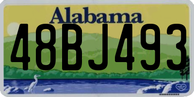 AL license plate 48BJ493