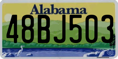 AL license plate 48BJ503