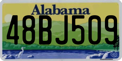 AL license plate 48BJ509