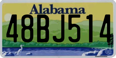 AL license plate 48BJ514
