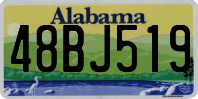 AL license plate 48BJ519