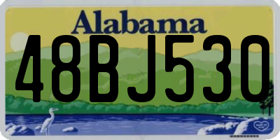 AL license plate 48BJ530