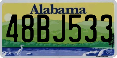 AL license plate 48BJ533