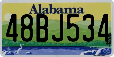 AL license plate 48BJ534