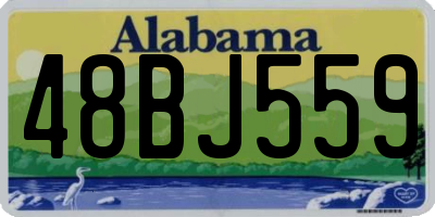 AL license plate 48BJ559