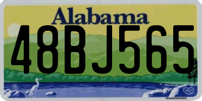AL license plate 48BJ565