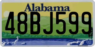 AL license plate 48BJ599