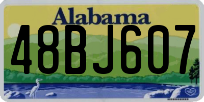 AL license plate 48BJ607