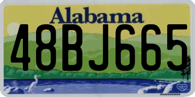 AL license plate 48BJ665