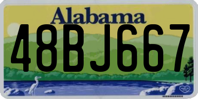 AL license plate 48BJ667