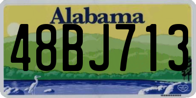 AL license plate 48BJ713