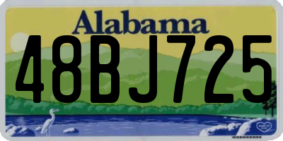 AL license plate 48BJ725