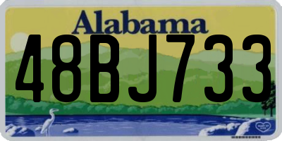 AL license plate 48BJ733