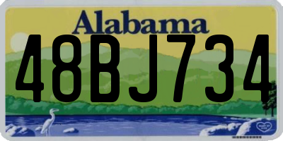 AL license plate 48BJ734