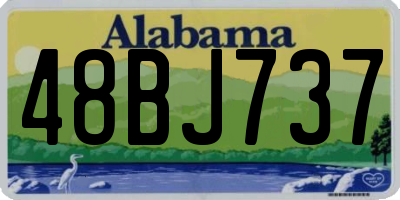 AL license plate 48BJ737