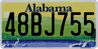 AL license plate 48BJ755