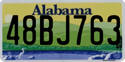 AL license plate 48BJ763