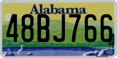 AL license plate 48BJ766