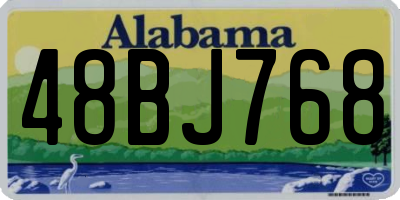 AL license plate 48BJ768