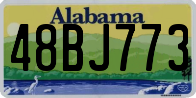 AL license plate 48BJ773