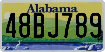 AL license plate 48BJ789