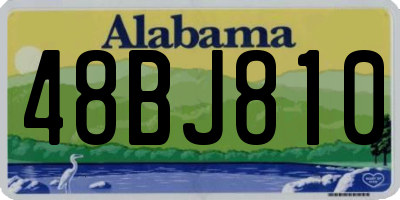 AL license plate 48BJ810