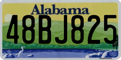AL license plate 48BJ825