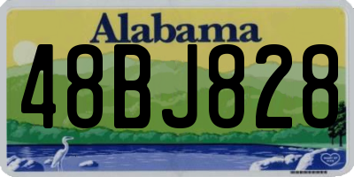 AL license plate 48BJ828