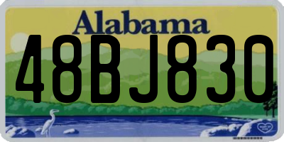 AL license plate 48BJ830