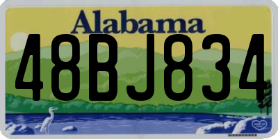 AL license plate 48BJ834