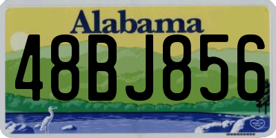 AL license plate 48BJ856