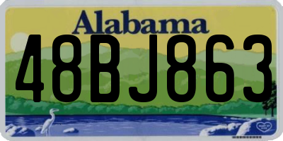 AL license plate 48BJ863