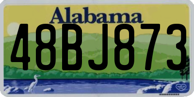 AL license plate 48BJ873