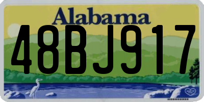 AL license plate 48BJ917