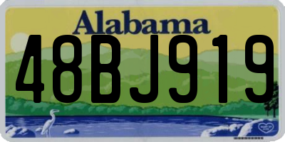 AL license plate 48BJ919