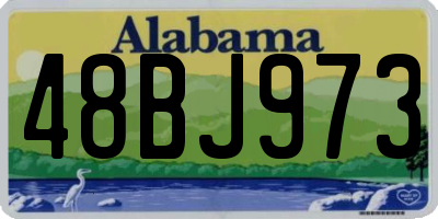 AL license plate 48BJ973