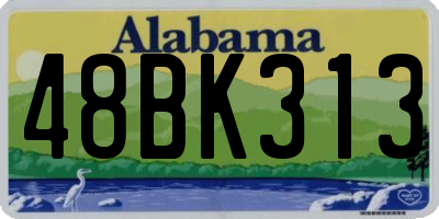 AL license plate 48BK313