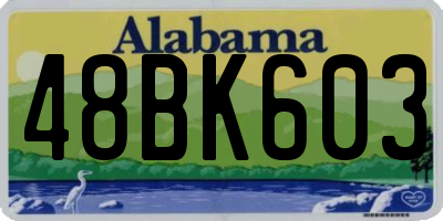 AL license plate 48BK603