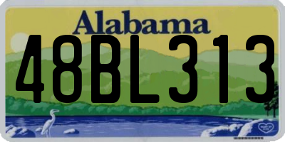 AL license plate 48BL313