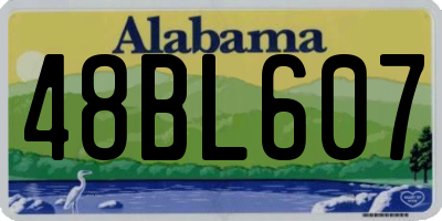 AL license plate 48BL607