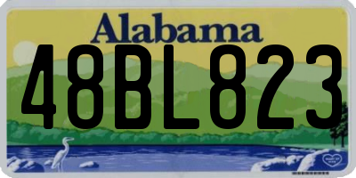 AL license plate 48BL823