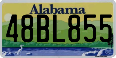 AL license plate 48BL855