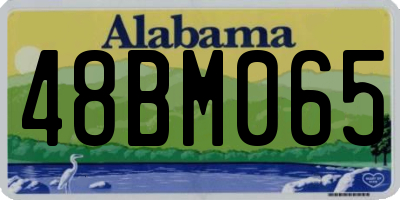 AL license plate 48BM065